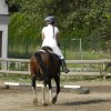 Babie Lato 2016
